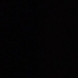 Meet your Posher, Bailey